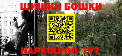 гашик Гагарин