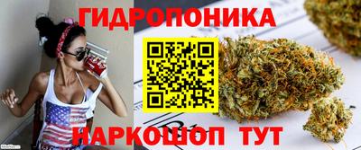 гашик Гагарин
