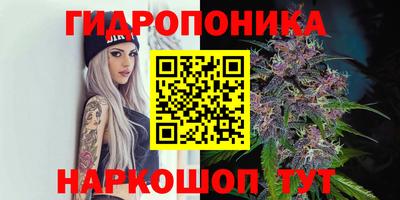 гашик Гагарин