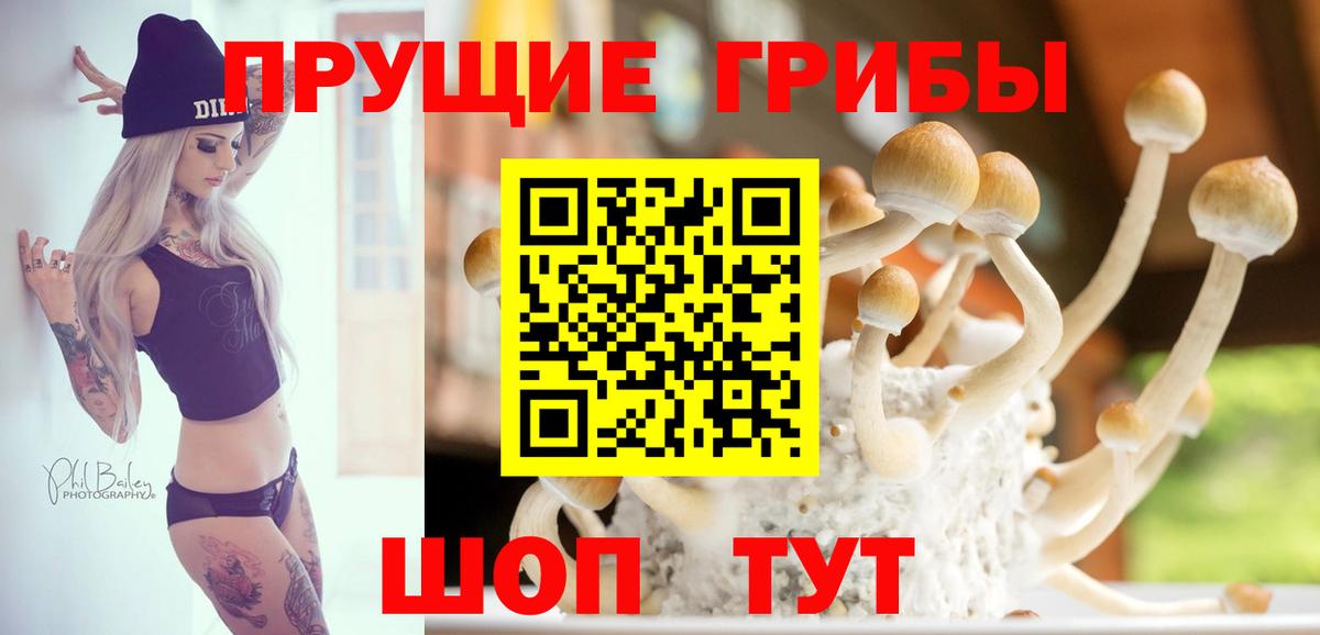 Грязи  Псилоцибиновые грибы Cubensis  Вход с VPN 
